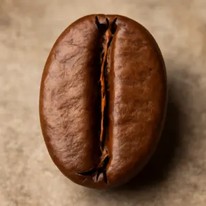 Geschmack und Aromen von Arabica