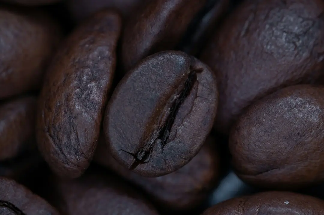 Nahaufnahme gerösteter Kaffeebohnen zur Untersuchung der Oberfläche