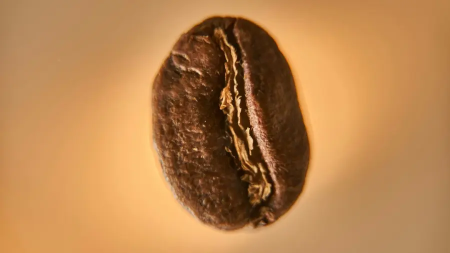 Makroaufnahme einer Kaffeebohne mit mittlerer Rille
